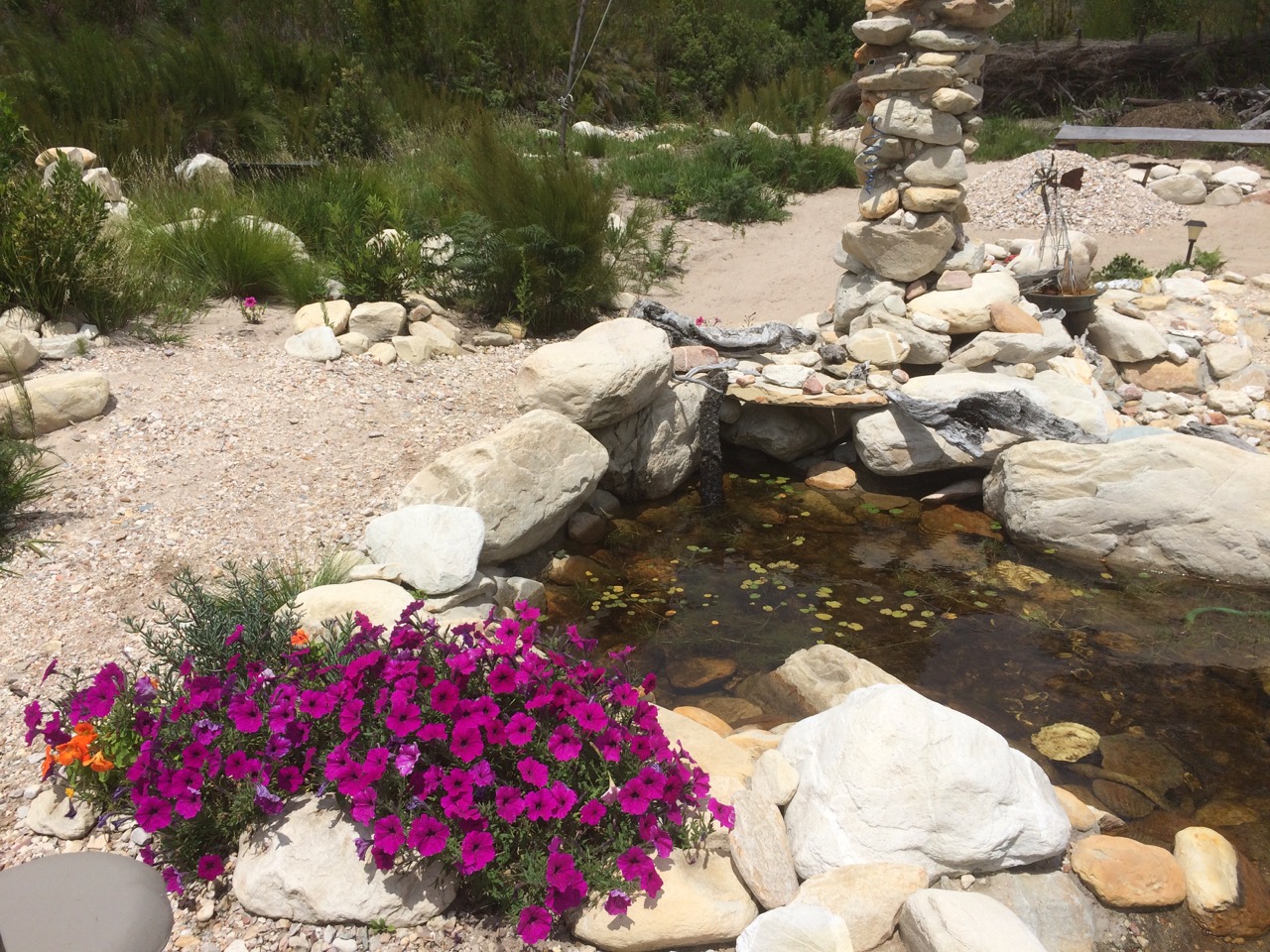 Our rock pool.
