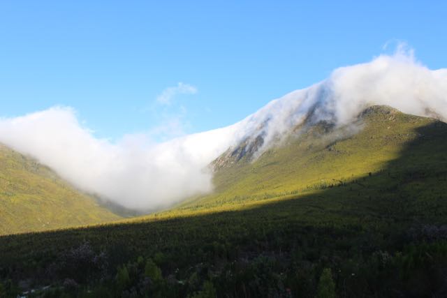 Afternoon mist rolling over from the sea.