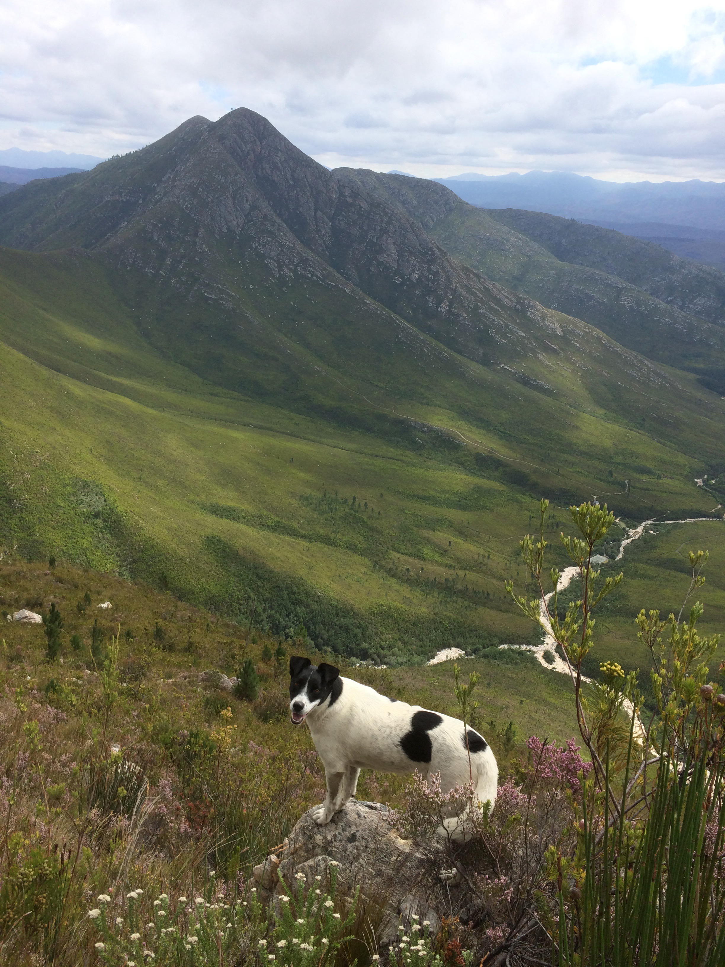 On one of our top of the mountain hikes