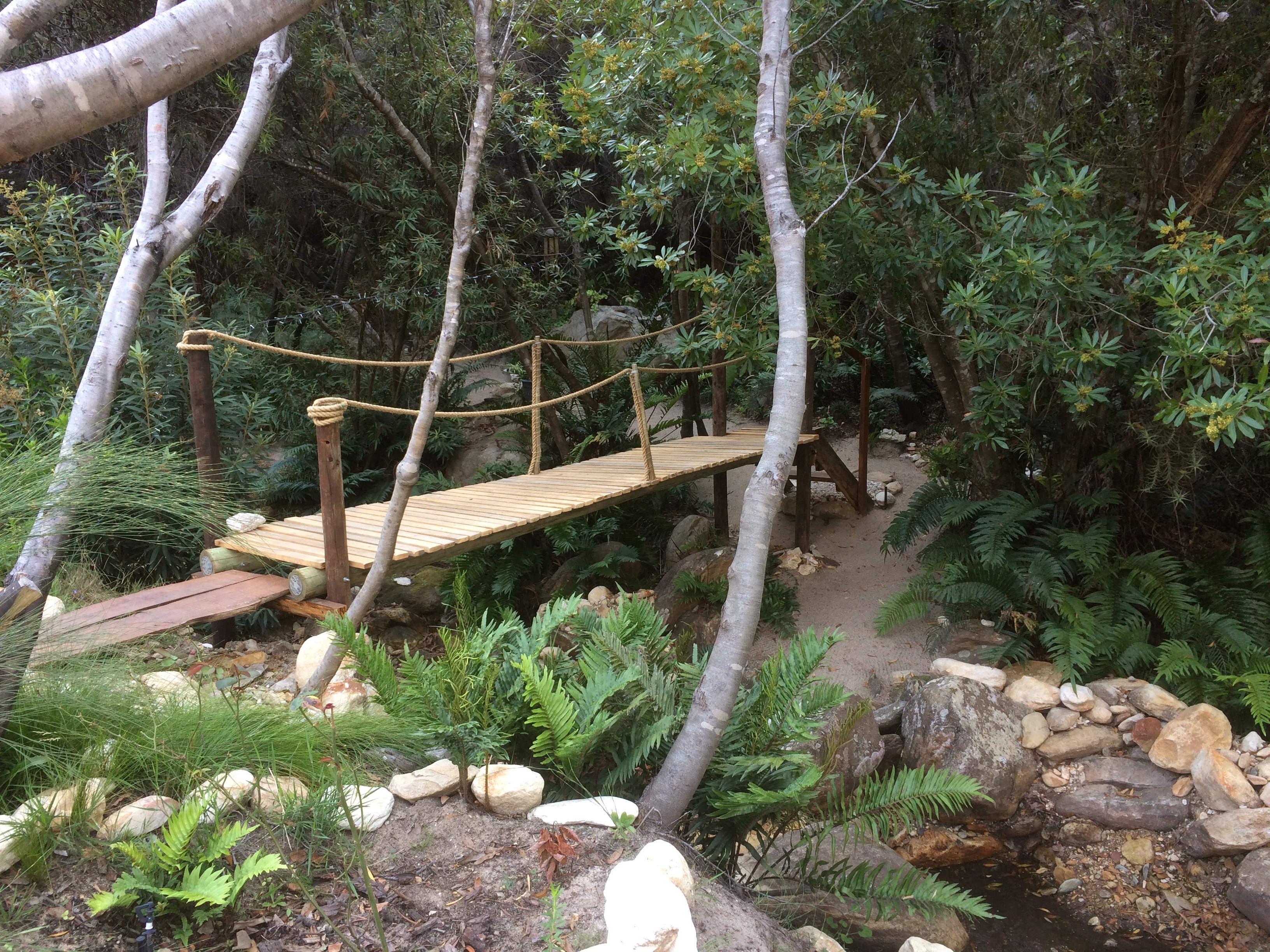 Our entrance and bridge to our Zen garden