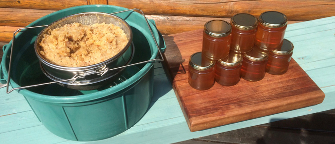 Our organic Fynbos honey