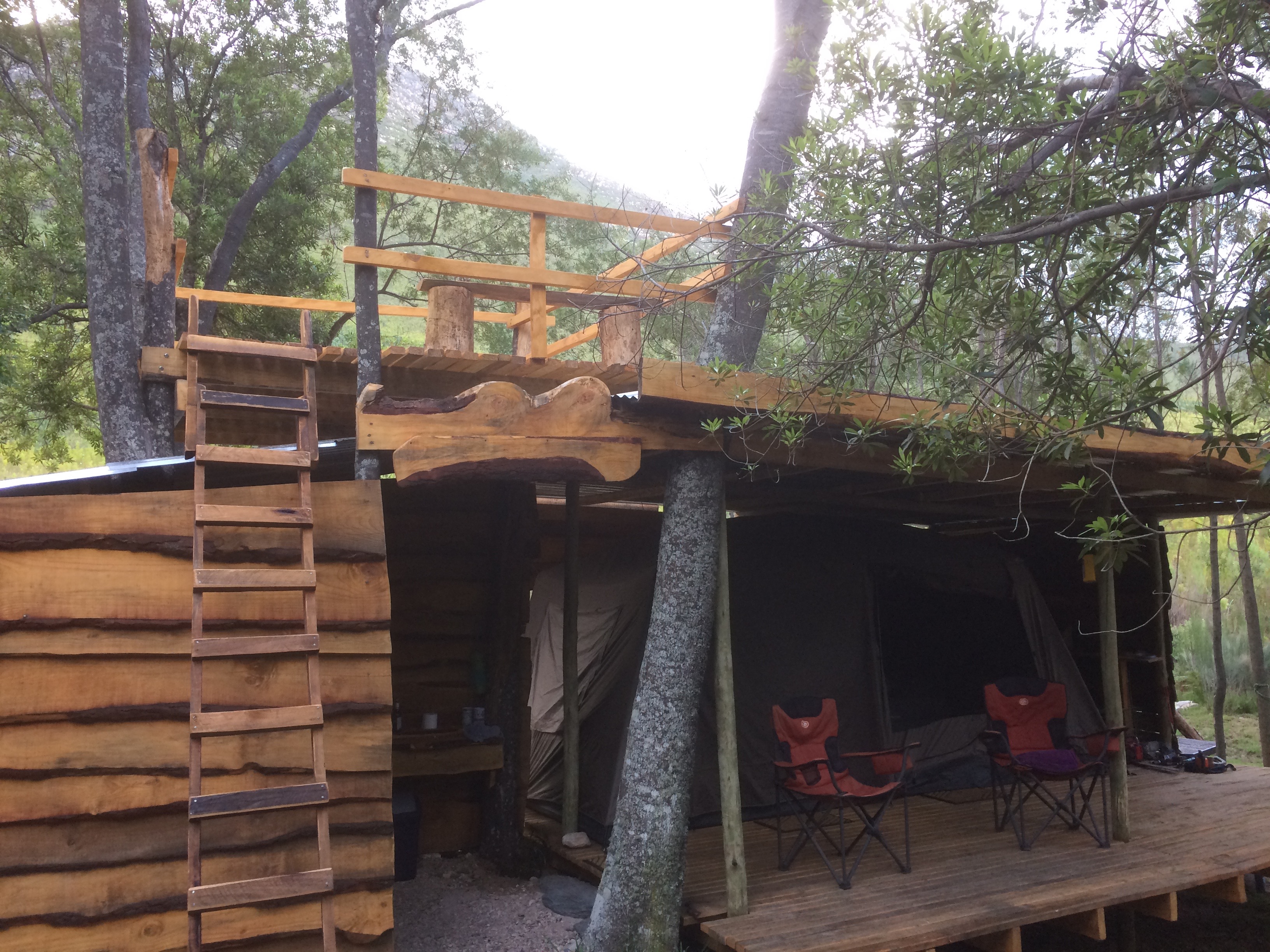 Camp site